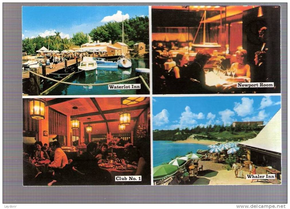 Bermuda - Southampton Princess Hotel - Luxurious Dining - Bermudes