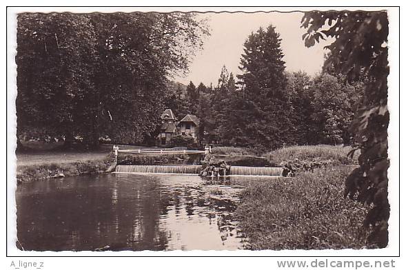 M CPSM 60 SERIFONTAINE Chateau Du Saussart - Les Cascades - Autres & Non Classés