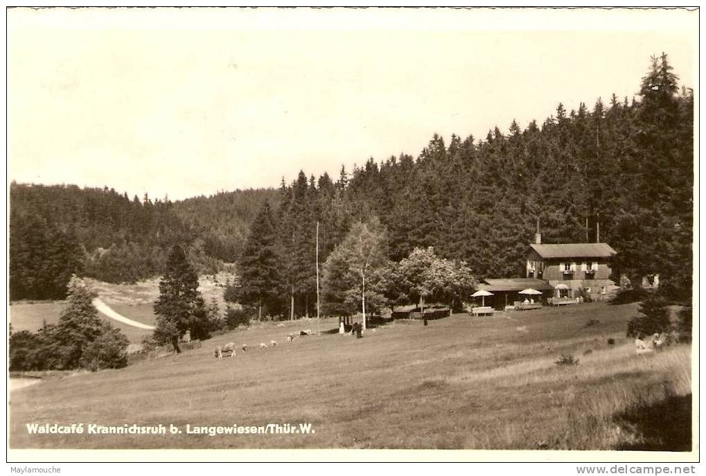 Langewiesen Waldcafe Krannichsruh - Kranichfeld