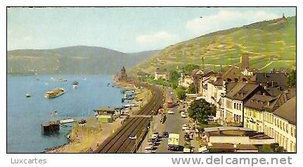 RÜDESHEIM.  PANORAMA MIT NIEDERWALDDENKMAL. - Rüdesheim A. Rh.