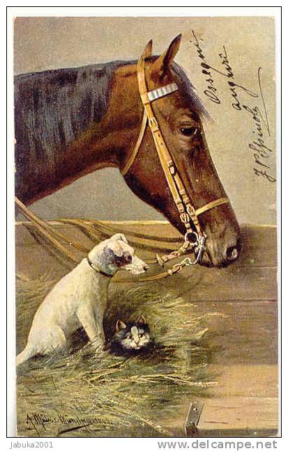 HORSE CAVALLI PFERDE CHEVAL  DOG CANI HUNDE JACK RUSSEL TERRIER SIGNED OLD POSTCARD #057 - Pferde