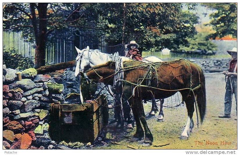 Chevaux Cheval Horse Cowboy - Lieu Inconnu - 1917 - Écrite - État : Moyen (voir Scan) - Non Classés