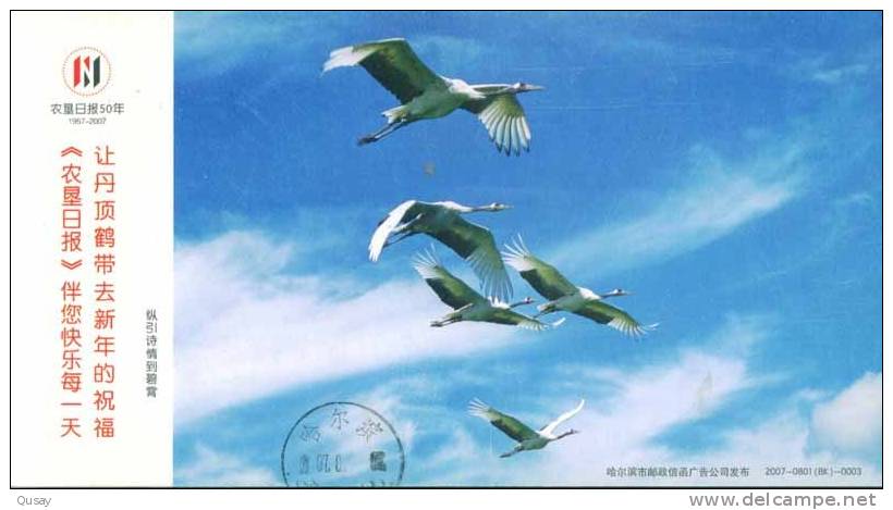 Crane Bird   ,    Prepaid Card , Postal Stationery - Grues Et Gruiformes