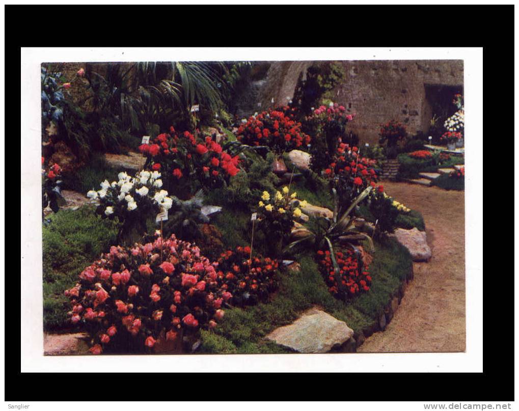 DOUE LA FONTAINE - CITE DES ROSES - DANS LES GROTTES DES ARENES ' JOURNEE DE LE ROSE ' MI-JUILLET - Doue La Fontaine