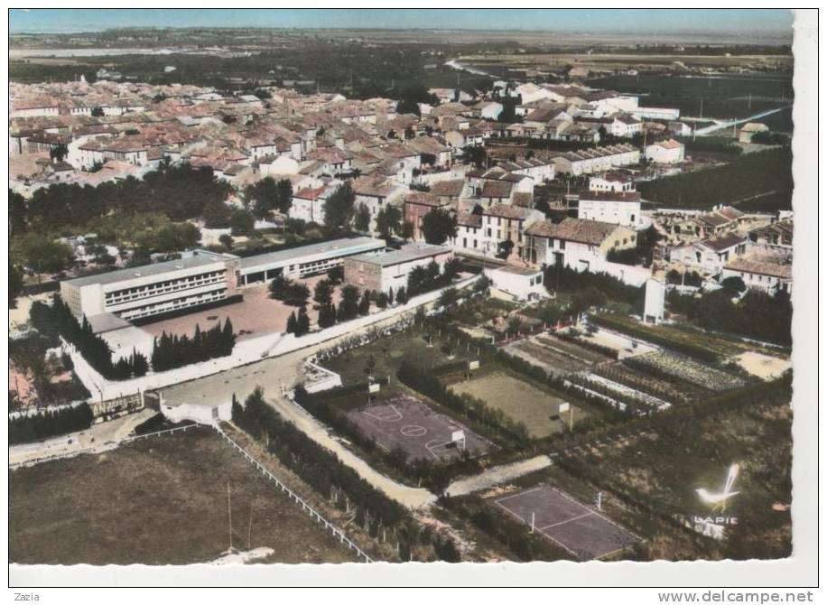 11.112/ SIGEAN - Le Cours Complémentaire Et Terrain De Sports (cpsm N°5) - Sigean