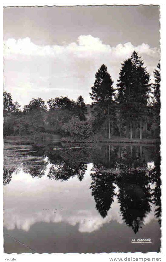 Carte Postale 60.  Rantigny  Les étangs Trés Beau Plan - Rantigny