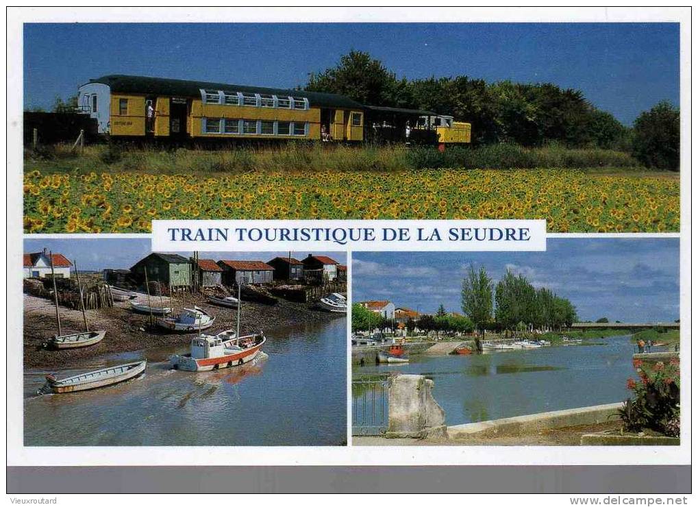 CPSM.  TRAIN TOURISTIQUE DE LA SEUDRE. DE SAUJON A LA TREMBLADE. EN PASSANT PAR FONTBEDEAU,MORNAC,CHAILLEVETTE,ETAULES.. - Saujon