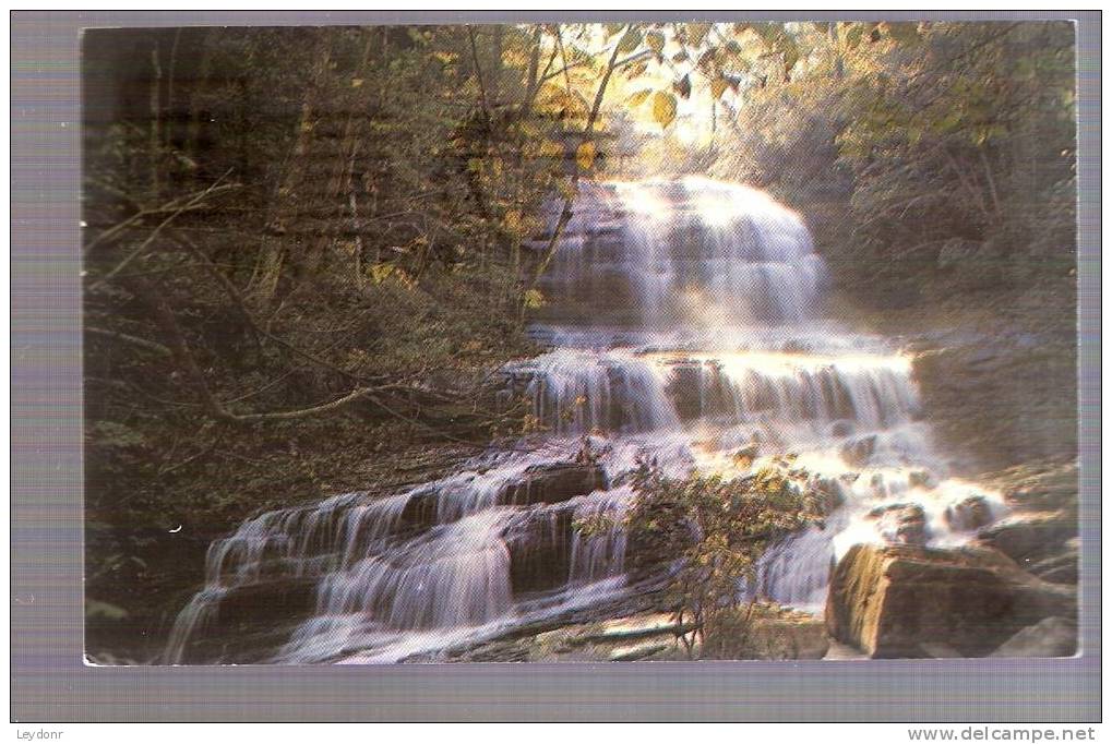 North Carolina - Pearson's Falls In The Saluda-Tryon Section Of Western North Carolina - Autres & Non Classés