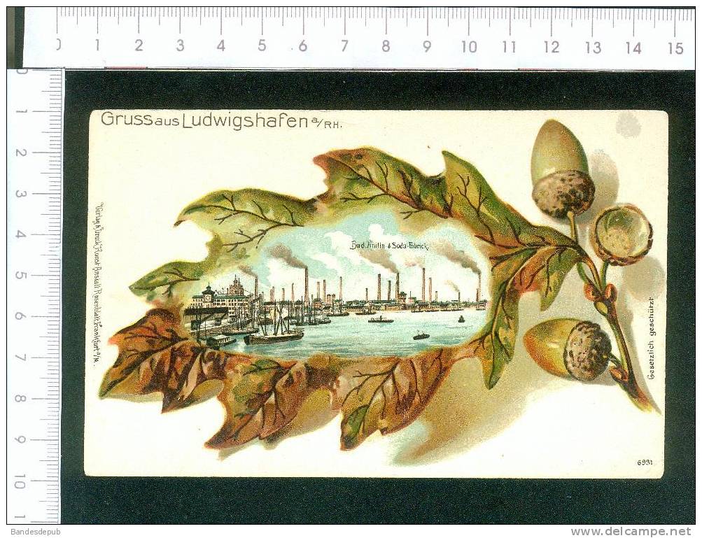 Gruss Aus Ludwigshafen Bad Anilin Und Soda Fabrik Usine Belle Carte Chromo Gaufrée Feuille De Chêne Gland - Ludwigshafen