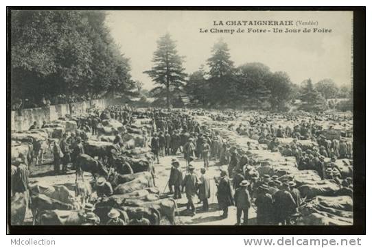 85 LA CHATAIGNERAIE - Le Champ De Foire Un Jour De Foire - La Chataigneraie