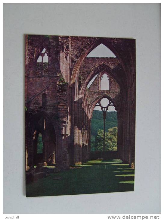 Tintern Abbey,  Gwent. - Monmouthshire