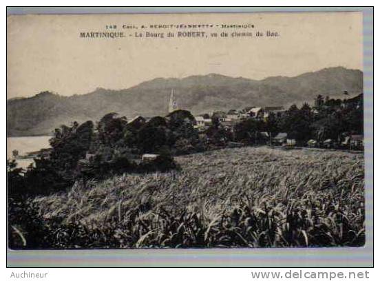 149 Martinique - Le Bourg Du Robert, Vu Du Chemin Du Bac - Other & Unclassified