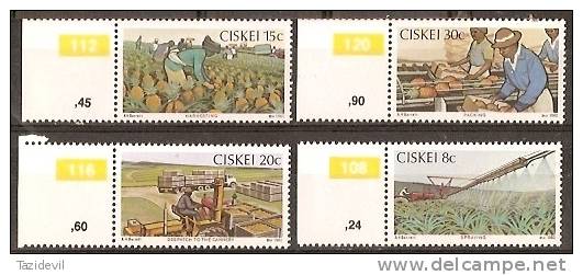 CISKEI - 1982 Pineapple Industry. Scott 38-41. MNH ** - Ciskei