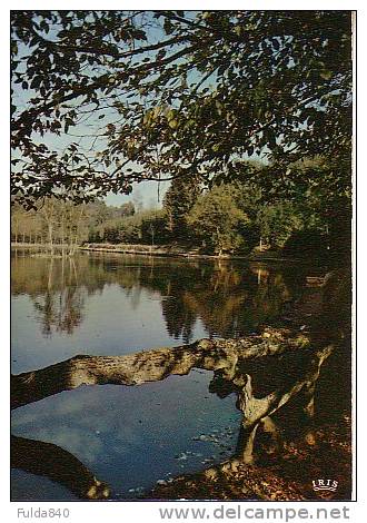 CPM.    SAUTIN (rance).    Hostellerie Du Chateau-Doyen. - Sivry-Rance