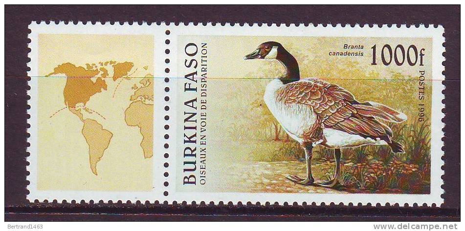 BURKINA FASO 1996. YT N° 977**. Oiseaux En Voie De Disparition - Burkina Faso (1984-...)