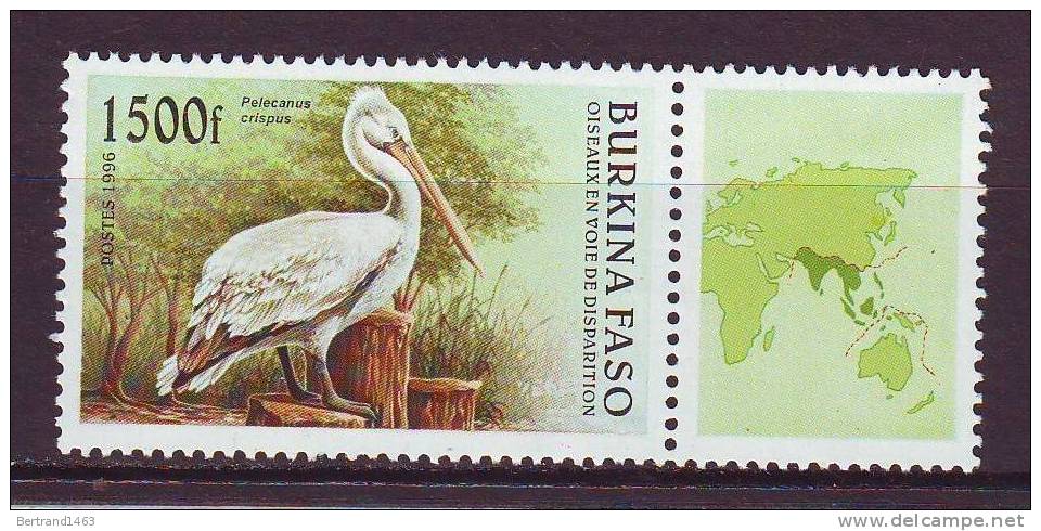 BURKINA FASO 1996. YT N° 978**. Oiseaux En Voie De Disparition - Burkina Faso (1984-...)