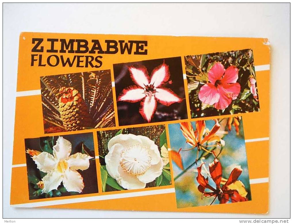 Zimbabwe Flower     1970´s G     D39695 - Simbabwe