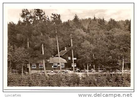 GRUSS VOM STEIGERHAUS BEI TAMBACH-DIETHARZ-OHRDRUF I. THÜR. WALD. - Tambach-Dietharz