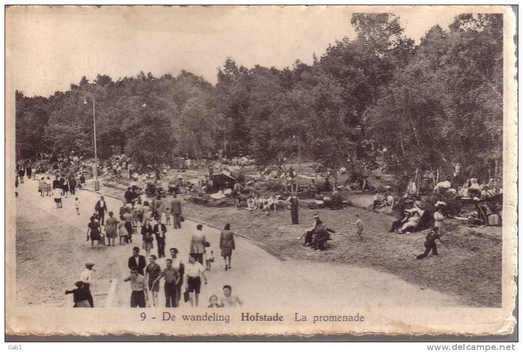 Belgique --- De Wandeling ... Hofsade  .. La Promenade - Andere & Zonder Classificatie