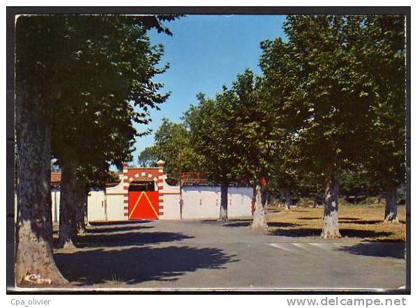 32 RISCLE Avenue Des Arènes, Ed CIM 0677, CPSM 10x15, 1978 - Riscle
