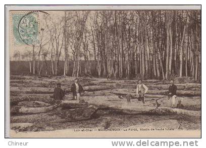 MARCHENOIR LA FORET ABATIS DE HAUTE FUTAIE - Marchenoir