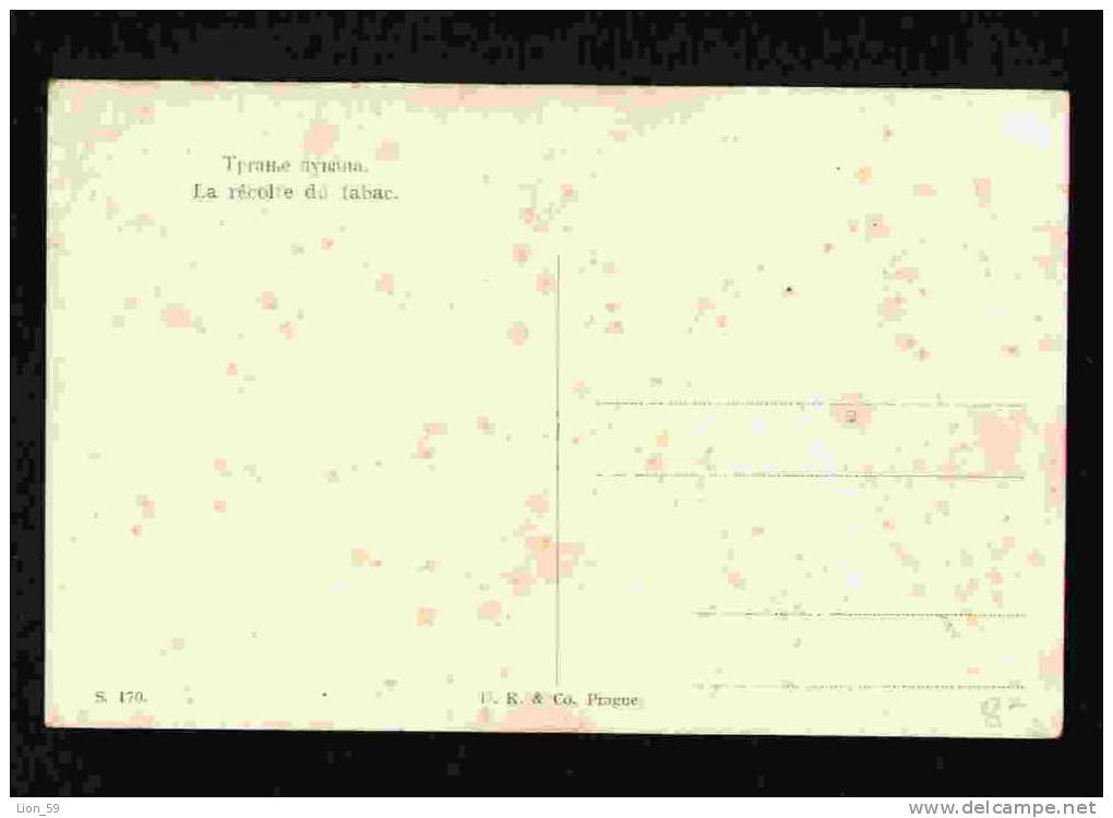 LA RECOLTE DU TABAC ETHNIC - Native Types TOBACCO NICOTIAN Serbia Serbie Series - #S. 170   - D. K. & Co PRAGUE Pc024066 - Tabac