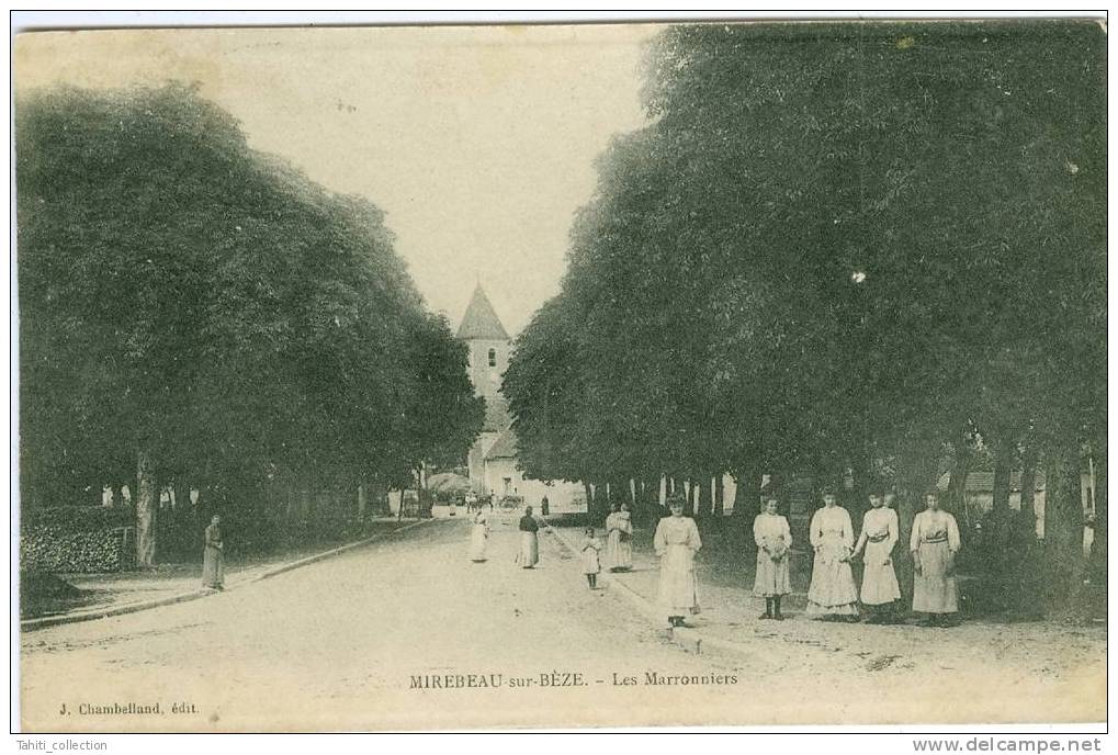 MIREBEAU-sur-BEZE - Les Marronniers - Mirebeau