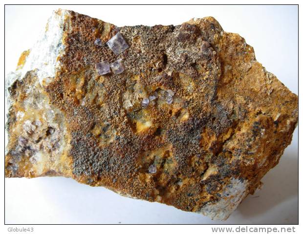 CUBES DE FLUORINE VIOLET (2 à 5 Mm) Sur Quartz Et Oxydes De Fer 10,5 X 6 Cm  JOSAT  AUVERGNE - Mineralien