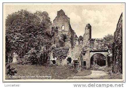 EMMENDINGEN I. BADEN.  RUINE HOCHBURG. - Emmendingen