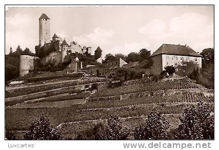 BURG HORNBERG AM NECKAR. - Hornberg