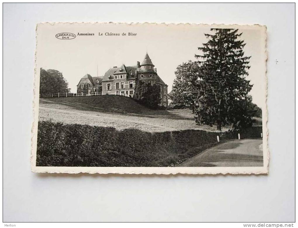 AMONINES - Château De Blier  - Cca 1950´s VF   D40269 - Erezee