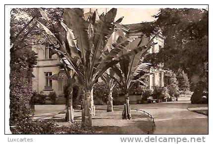 LAHR IM SCHWARZWALD. PARTIE IM STADTPARK. - Lahr