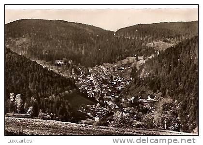 TRIBERG 685m ü M. / SCHWARZWALD. - Triberg