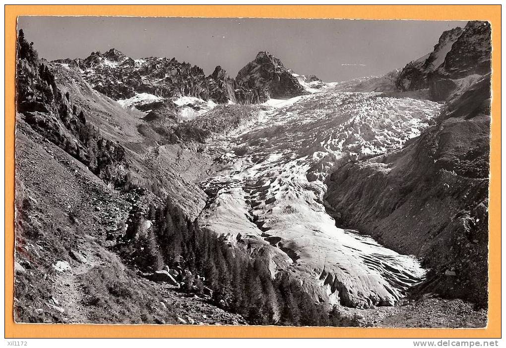 D202, Valais, Glacier Du Trient, Arête Des Ecandies Et Pointe D'Orny - Trient