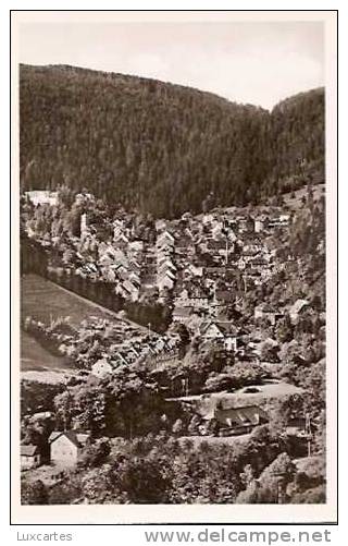 TRIBERG IM SCHWARZWALD.  BLICK VOM HOHNEN - Triberg