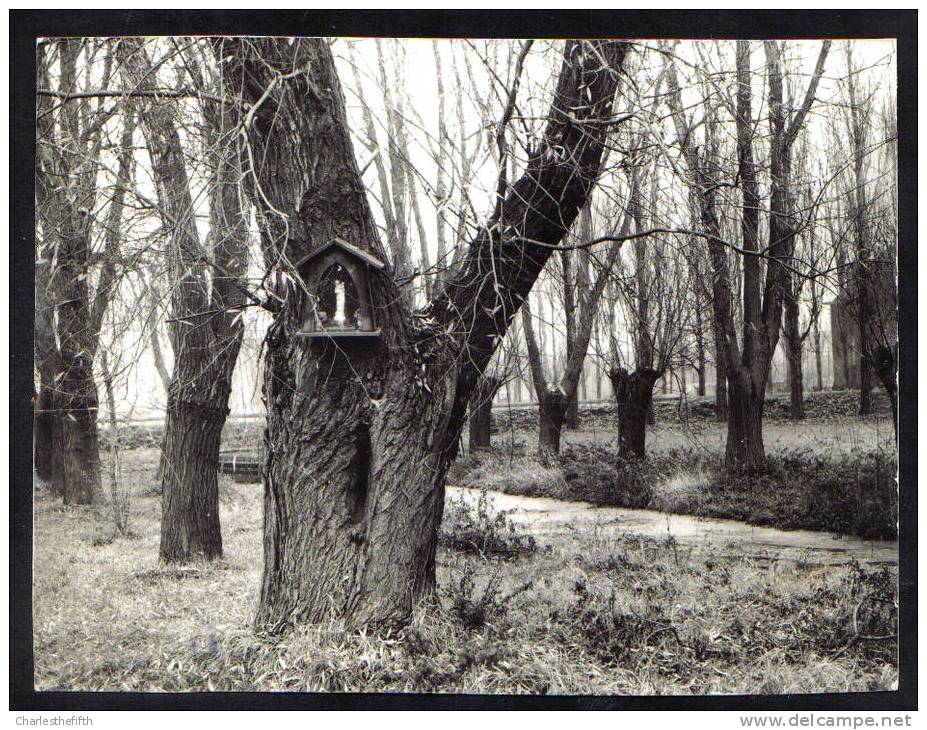 ZELDZAME PERSFOTO " KORTRIJK - Kapelleke Te Velde " 15 X 11.5 Cm ! - Kortrijk