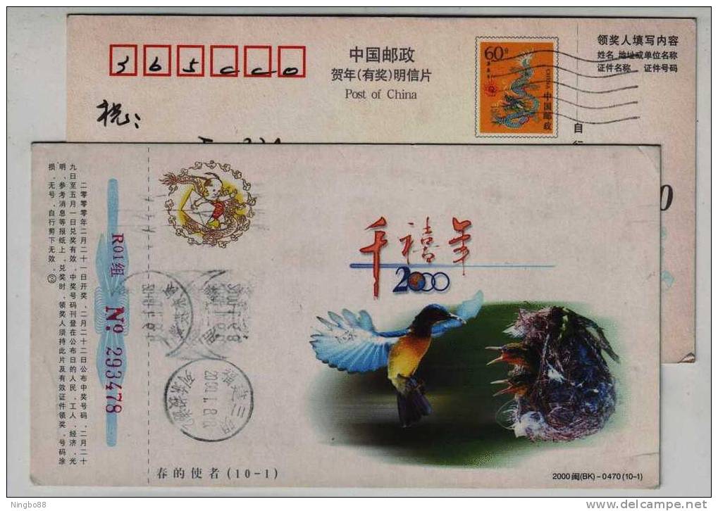 Humming Bird Feeding,China 2000 New Millennium Year Greeting Pre-stamped Card - Hummingbirds
