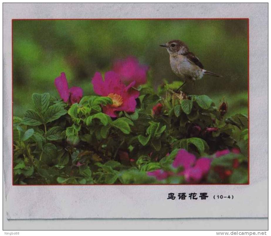 Sparrow Bird,China 2002 Birds Song And Flowers Fragrance Advertising Post Stationery Envelope - Sparrows