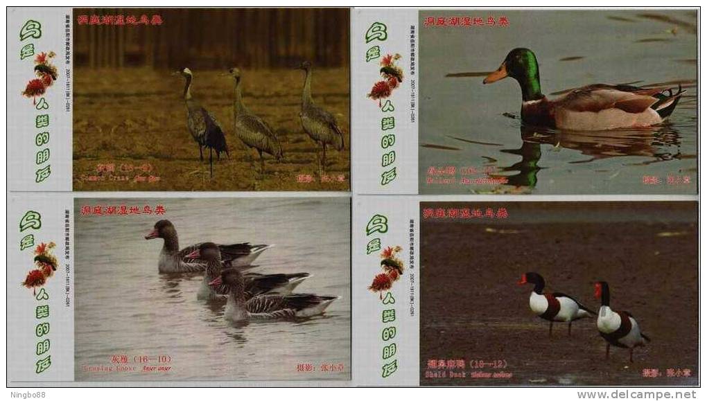 Swan,crane,duck,goose,Chi Na  2007 Set Of 16 Dongtinghu Lake Wetland Pre-stamped Cards In Folder - Kranichvögel