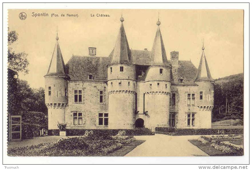 C8102- SPONTIN - Le Château - - Yvoir