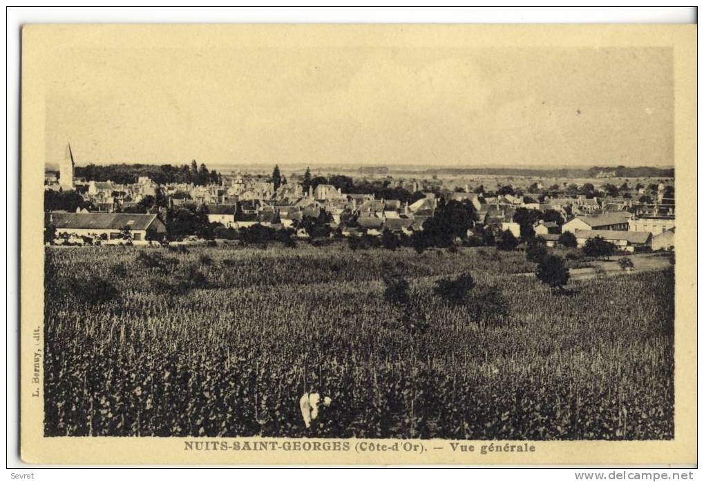 NUITS SAINT GEORGES. -  Vue Générale. - Nuits Saint Georges