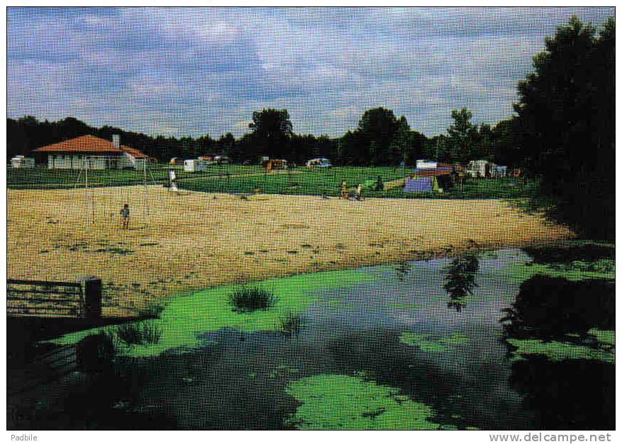 Carte Postale 44. Machecoul  Le Camping Municipal Et Le Falleron Trés Beau  Plan - Machecoul