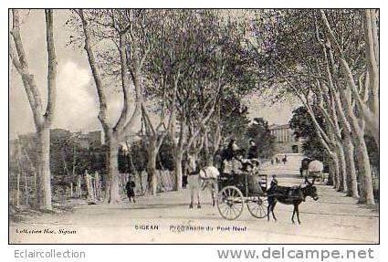 Sigean     11            Promenade Du Pont Neuf..Attelage Ane - Sigean