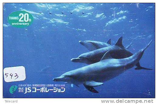 DOLPHIN DAUPHIN Dolfijn DELPHIN Tier Animal (543) Telecarte Japan * - Delfines