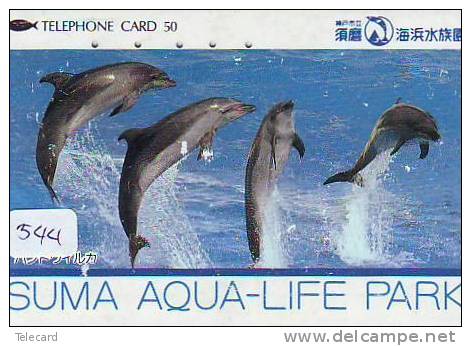 DOLPHIN DAUPHIN Dolfijn DELPHIN Tier Animal (544) Telecarte Japan * - Delfines