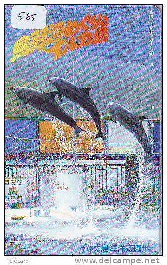 DOLPHIN DAUPHIN Dolfijn DELPHIN Tier Animal (565)  * Telefonkarte Telecarte Japan * - Delfines
