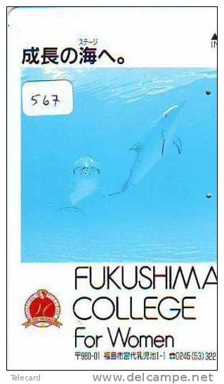 DOLPHIN DAUPHIN Dolfijn DELPHIN Tier Animal (567)  * Telefonkarte Telecarte Japan * - Delfines