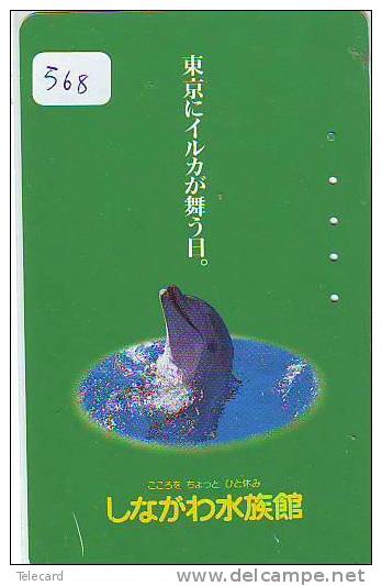 DOLPHIN DAUPHIN Dolfijn DELPHIN Tier Animal (568) Telecarte Japan * - Delfines