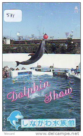 DOLPHIN DAUPHIN Dolfijn DELPHIN Tier Animal (571)  * Telefonkarte Telecarte Japan * - Delfines