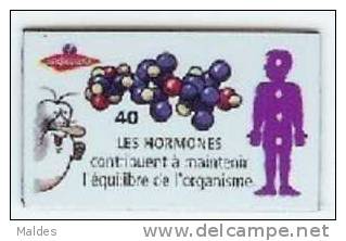 Magnets Le Gaulois Le Corps Humain N° 40 - Personnages